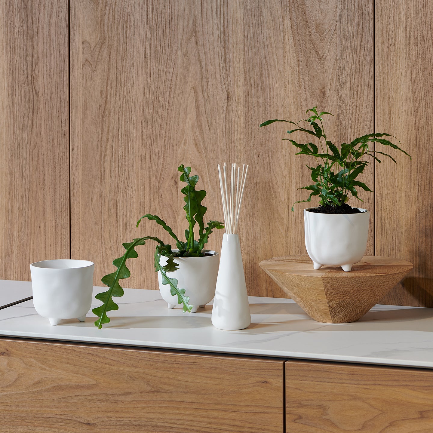 Diffuser - Field Almond White