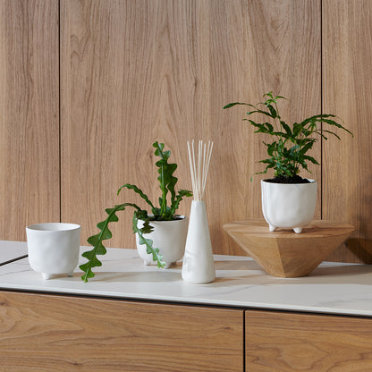 Diffuser - Field Almond White