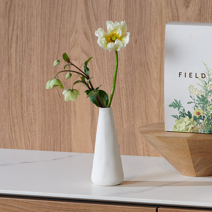 Diffuser - Field Almond White