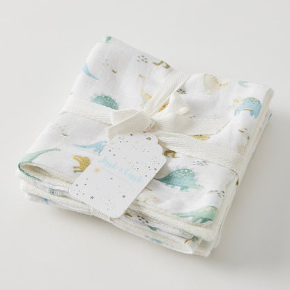 Dallying Dinosaurs Face Washer Set