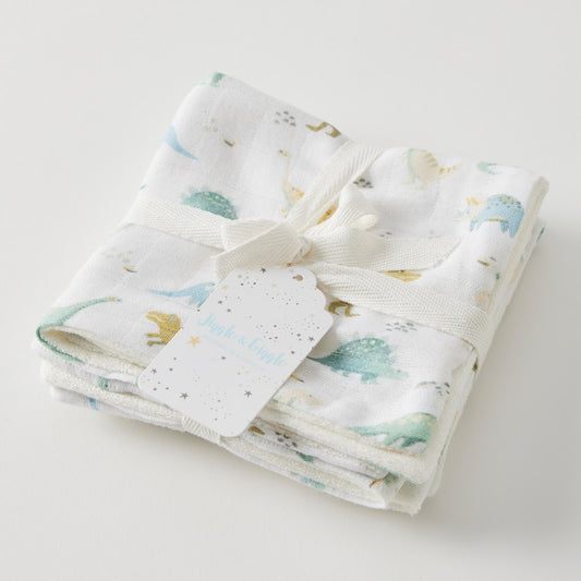 Dallying Dinosaurs Face Washer Set