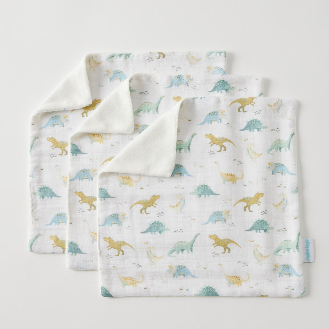 Dallying Dinosaurs Face Washer Set