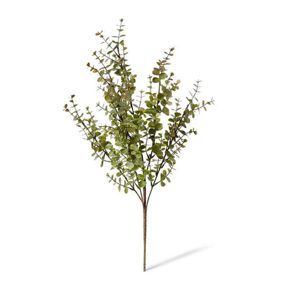 Eucalyptus Bush | Green Brown