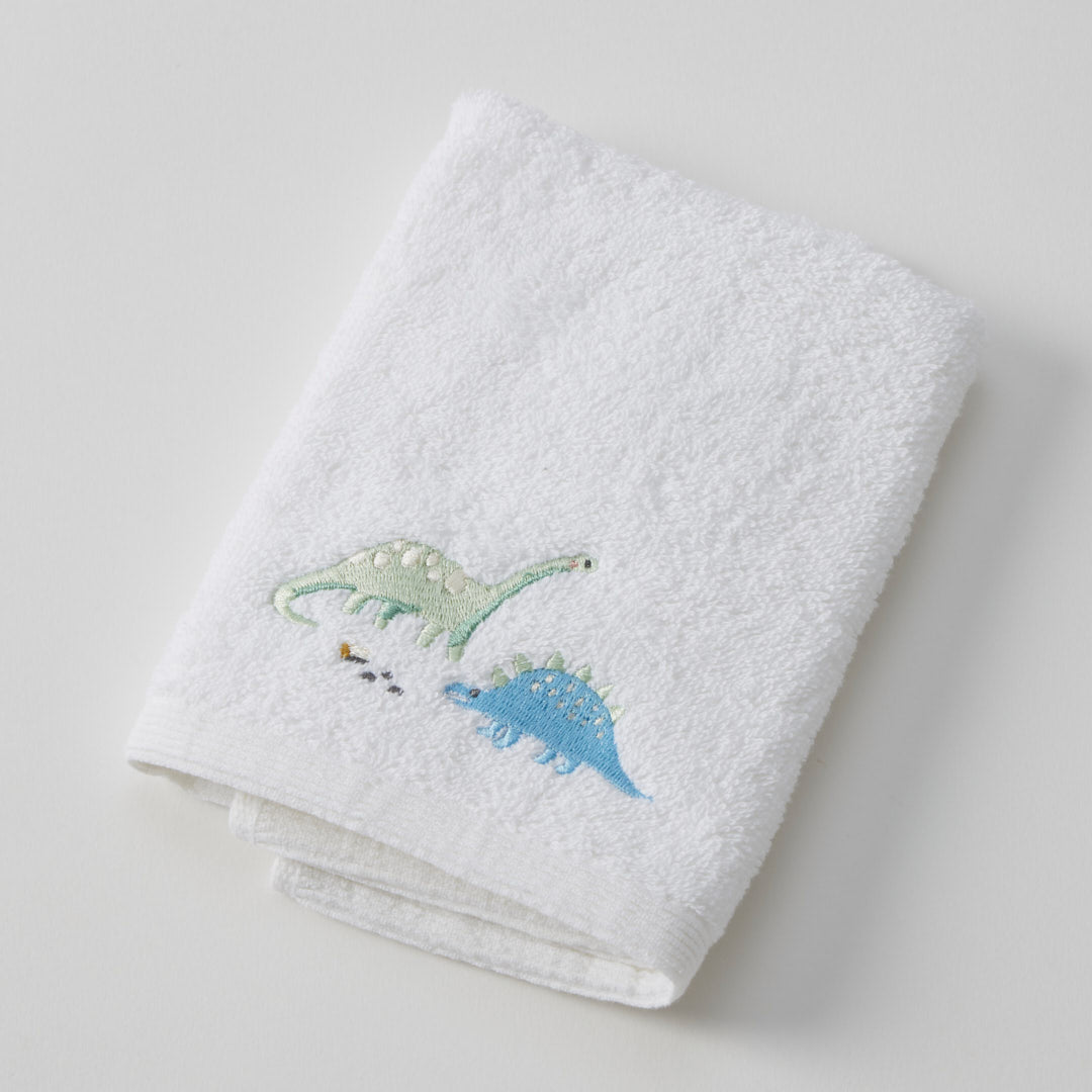 Baby Towel & Washer Set - Dallying Dinosaur