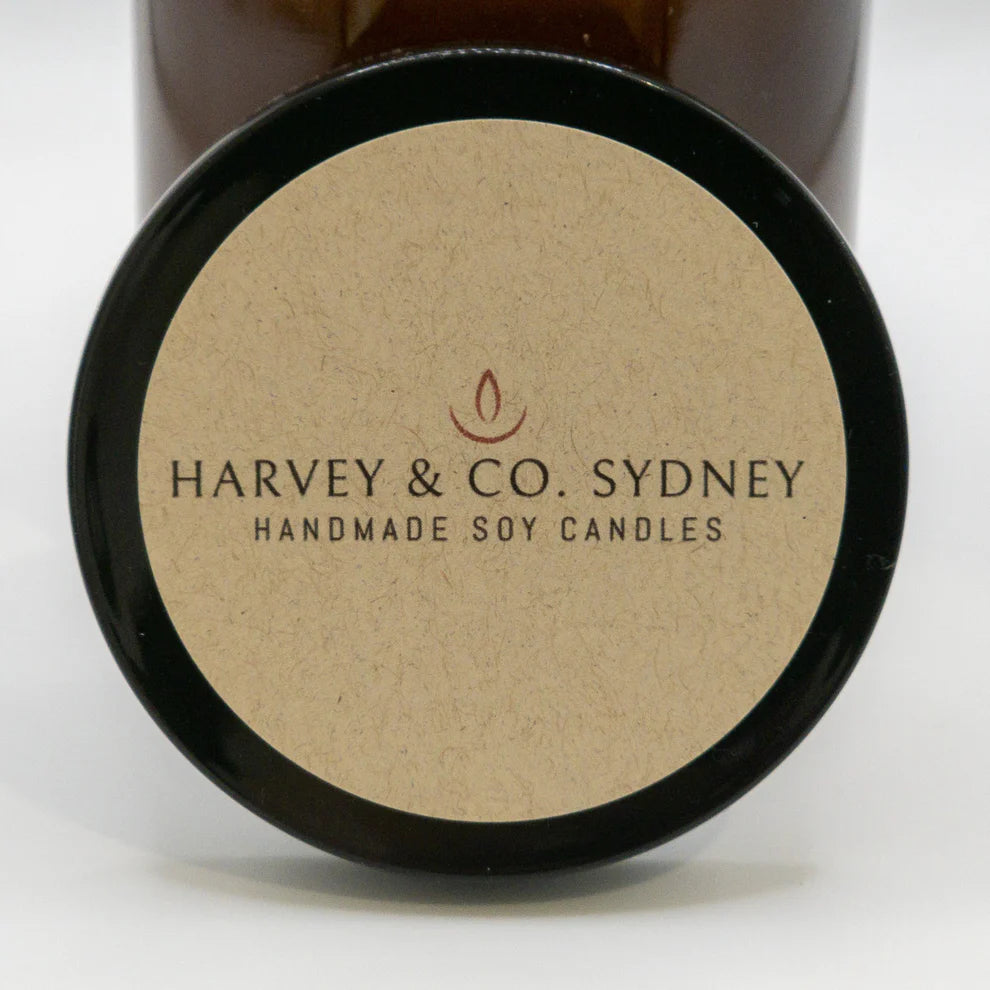 Candle | Snakes Alive