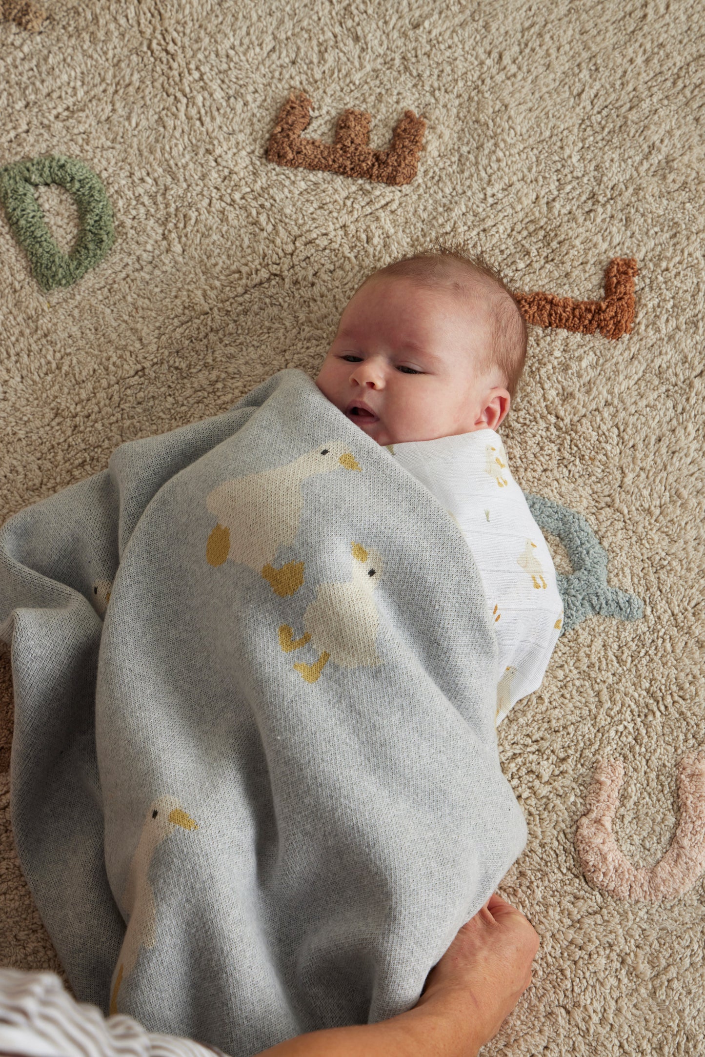 Baby Blanket | Wiggles