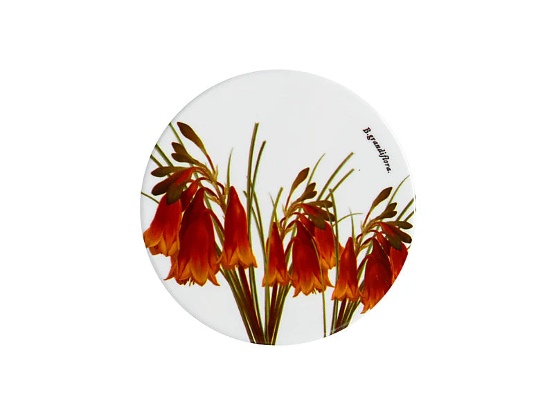 Royal Botanic Gardens Australian Botanics Ceramic Coaster | Christmas Bells