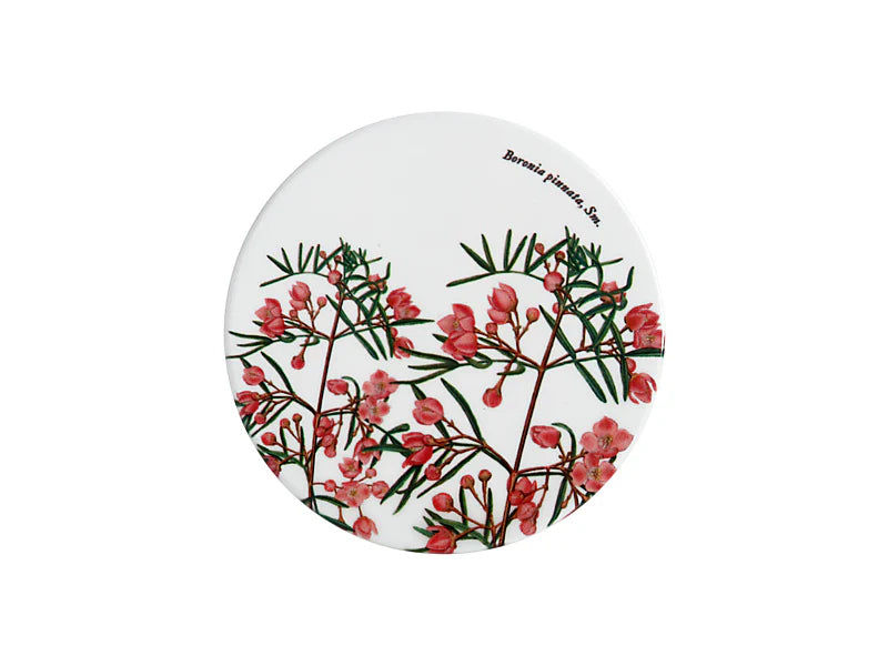 Royal Botanic Gardens Australian Botanics Ceramic Coaster | Boronia