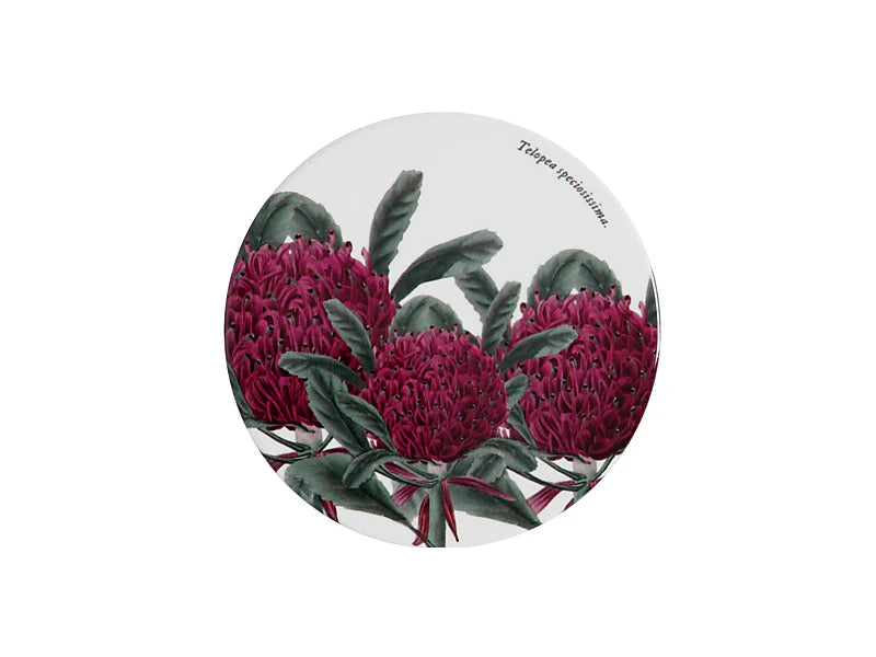 Royal Botanic Gardens Australian Botanics Ceramic Coaster | Telopea