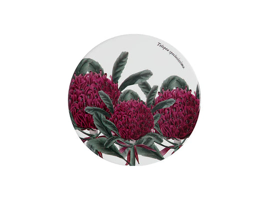 Royal Botanic Gardens Australian Botanics Ceramic Coaster | Telopea