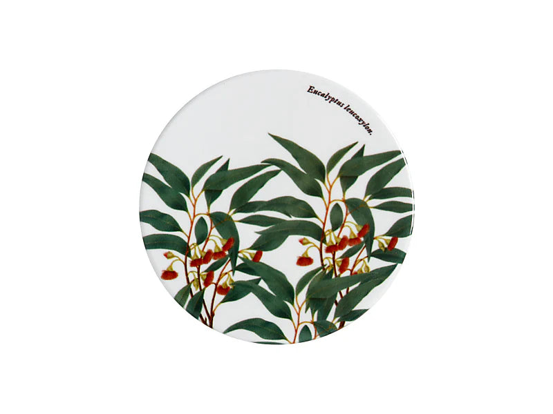 Royal Botanic Gardens Australian Botanics Ceramic Coaster | Flowering Gum