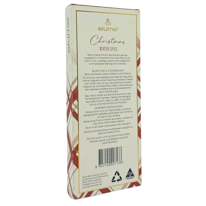 Christmas Winter Spice Tealights