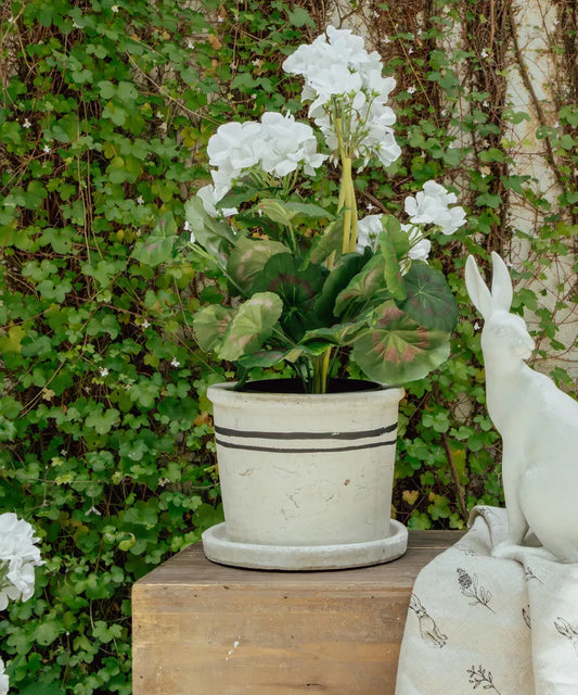 Lisbon Herb Pot Medium