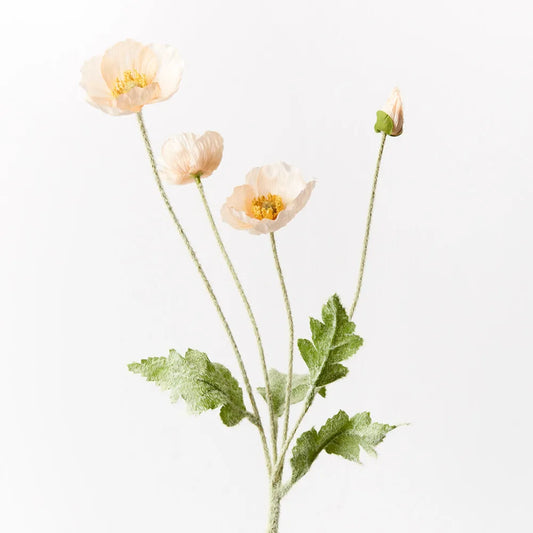 Iceland Poppy Spray
