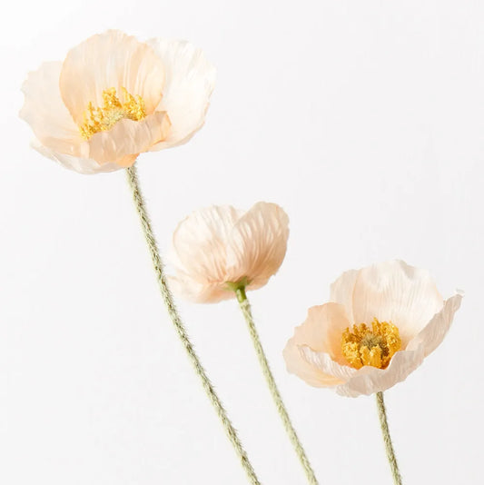 Iceland Poppy Spray