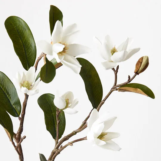 Magnolia Pearl Spray