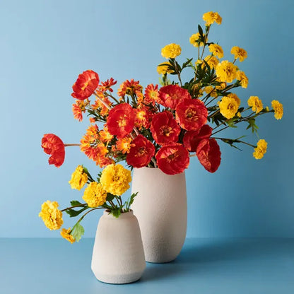 Iceland Poppy