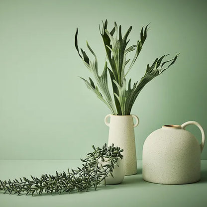 String of Bananas in Pot