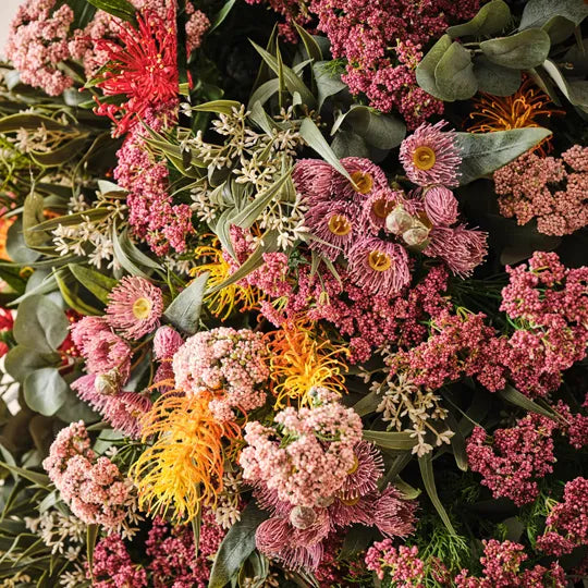 Eucalyptus Flowering Spray