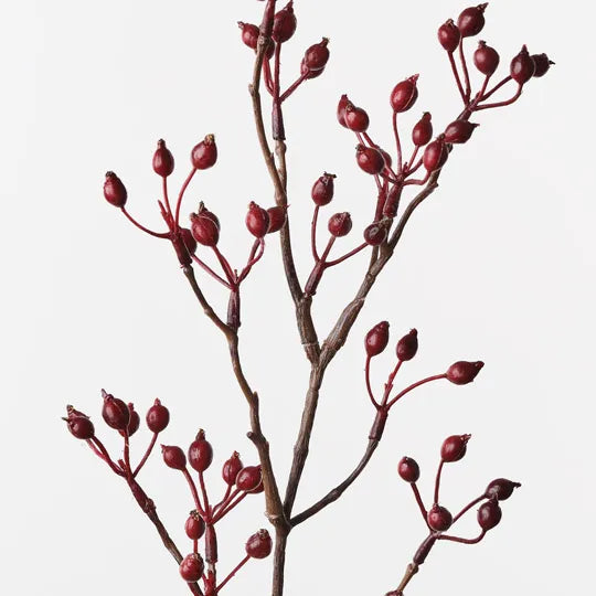 Rosehip Spray