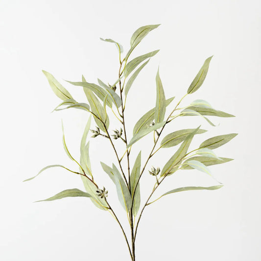 Eucalyptus Seed Spray