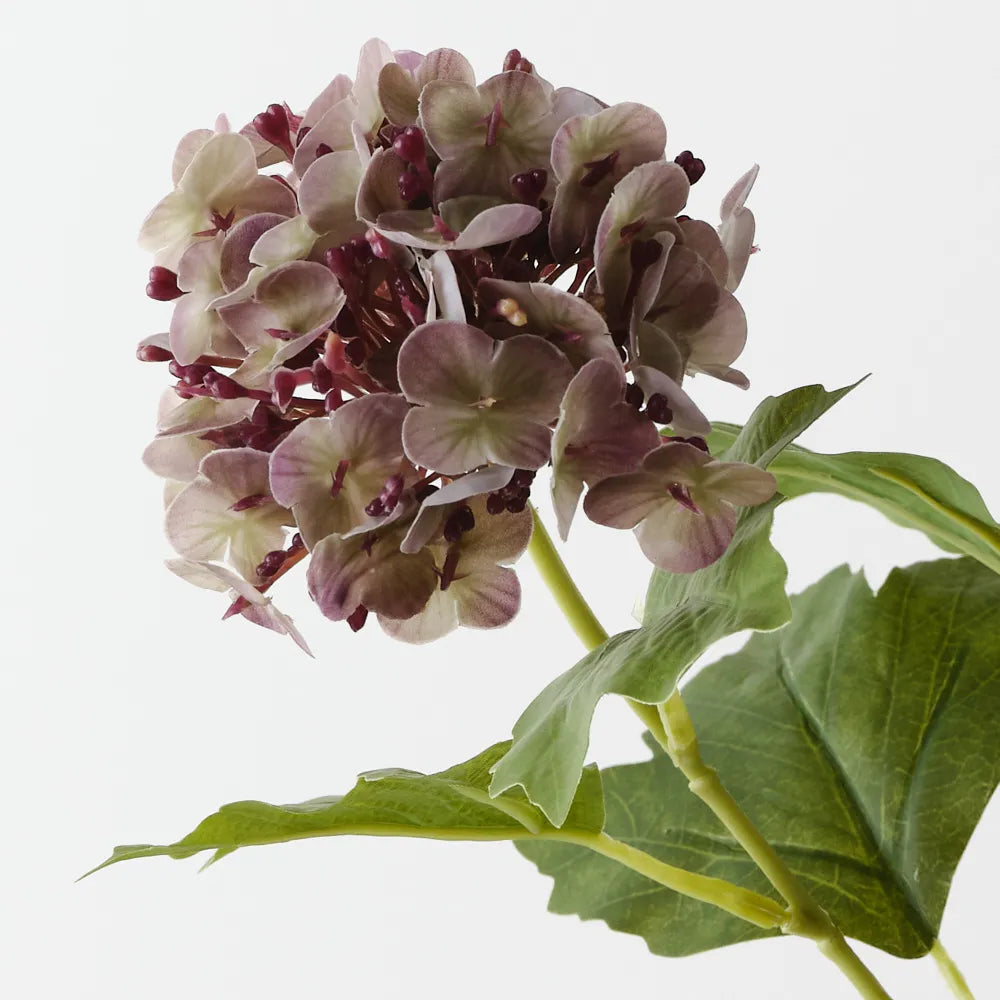 Hydrangea Spray