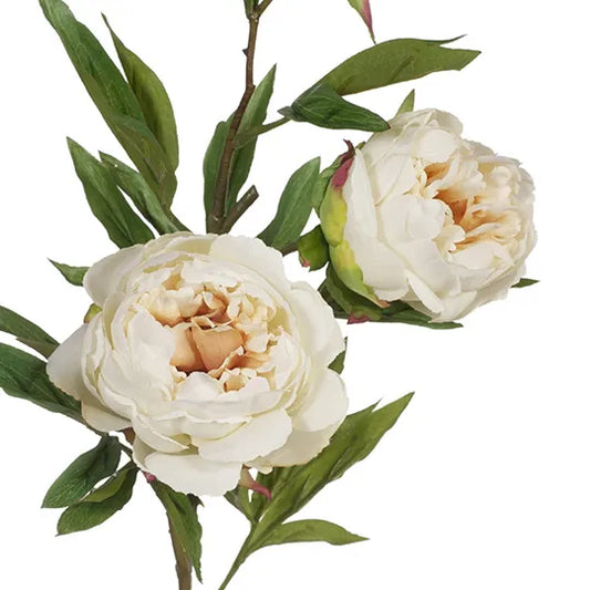 Peony x3 Spray