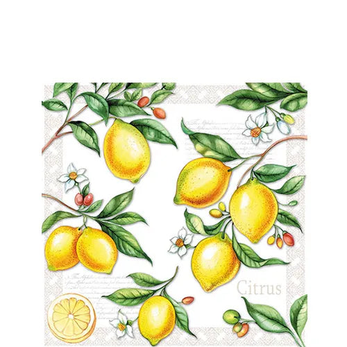 Cocktail Napkin Citrus