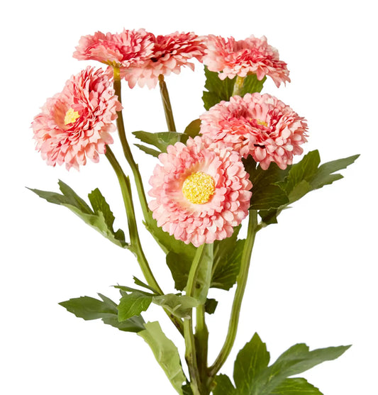 Chrysanthemum Spray