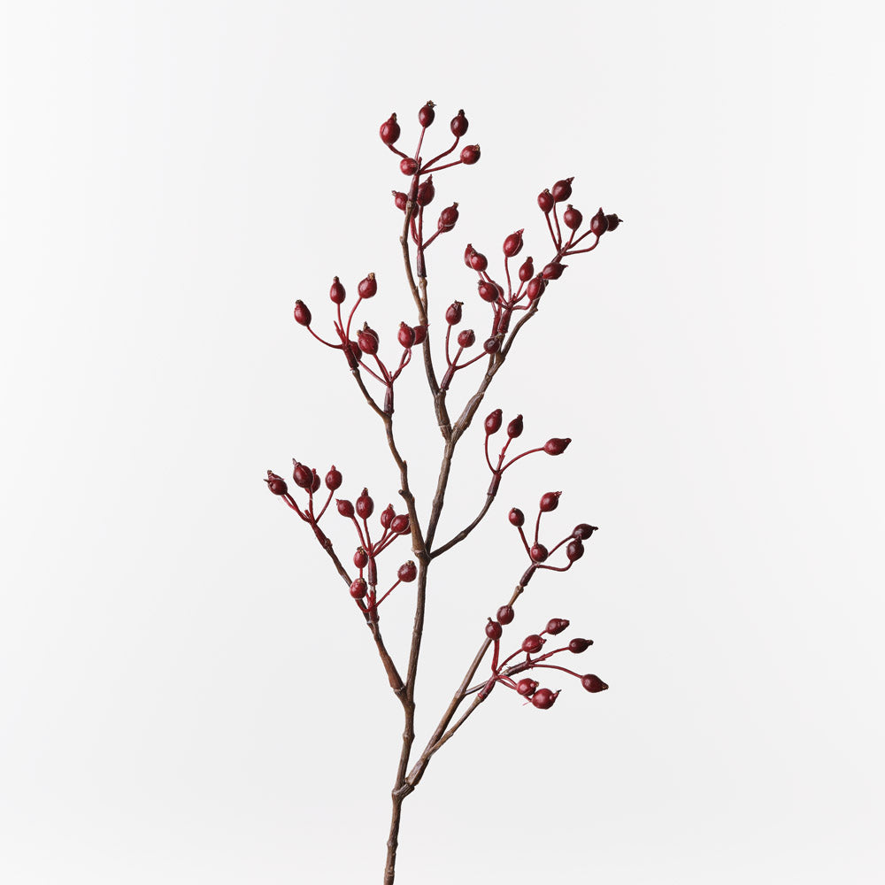 Rosehip Spray