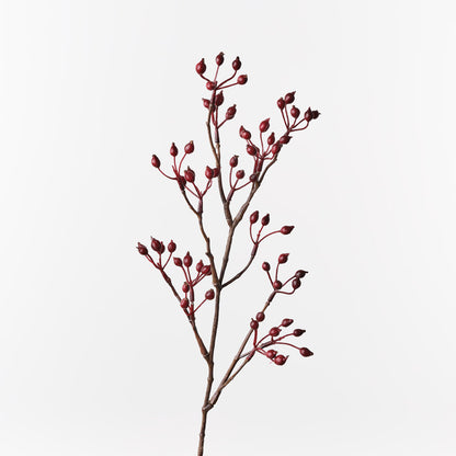 Rosehip Spray