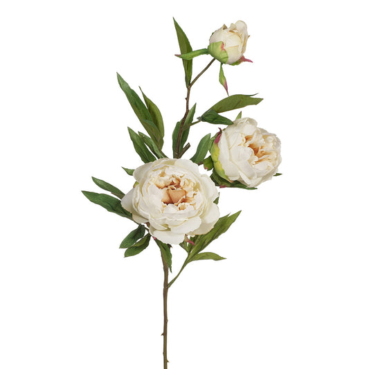 Peony x3 Spray
