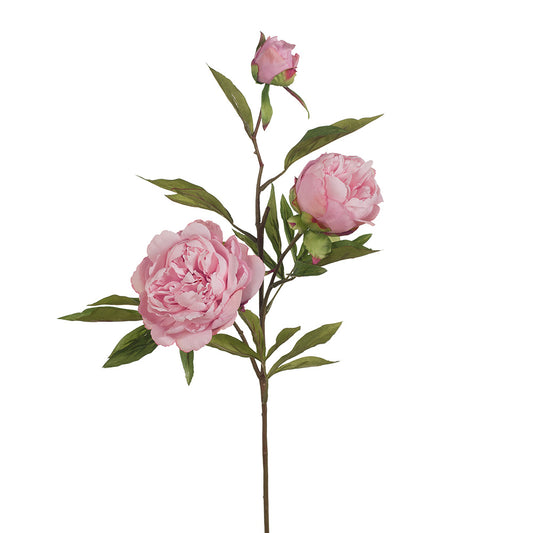 Peony x3 Spray