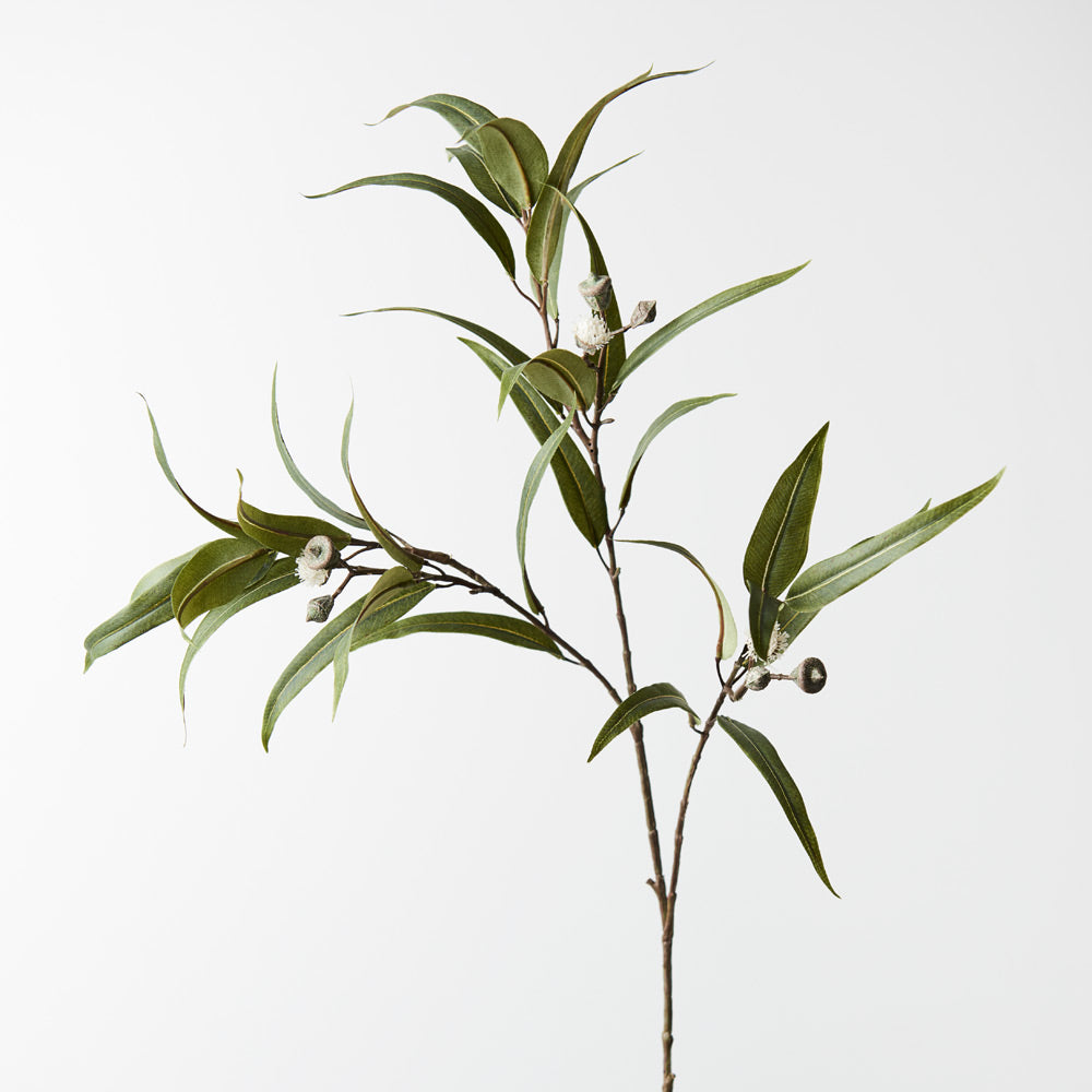 Eucalyptus Pod Flowering Spray