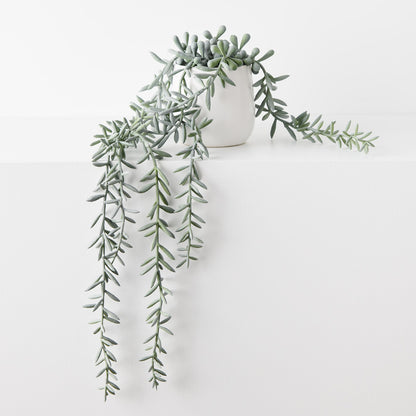 String of Bananas in Pot