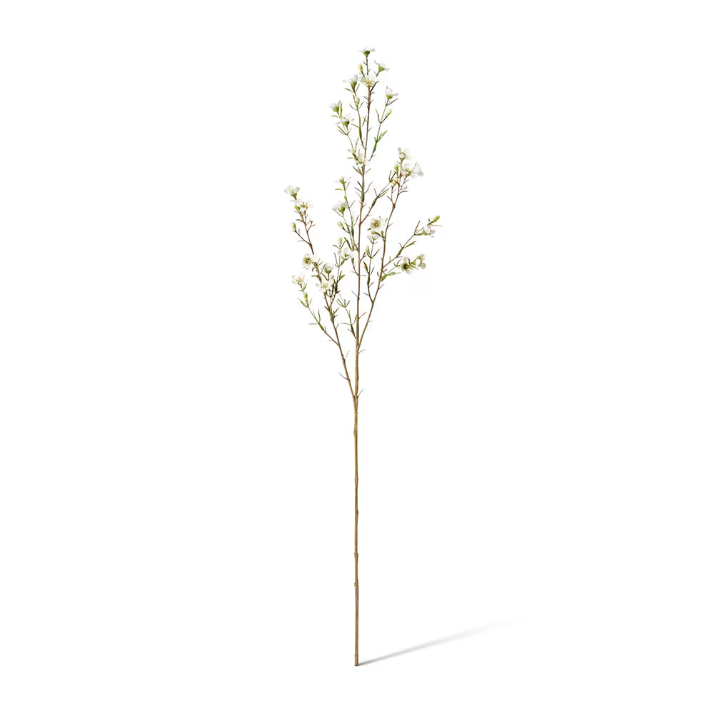 Wax Flower Spray | White