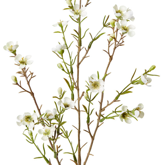 Wax Flower Spray | White