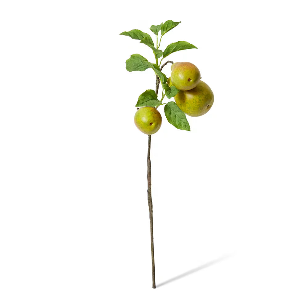 Pear Branch | Green Brown