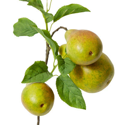 Pear Branch | Green Brown