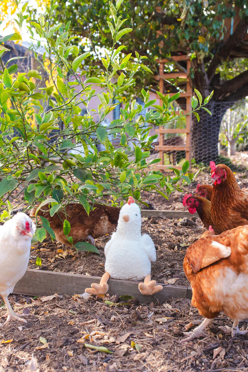 Henrietta the Hen Rattle