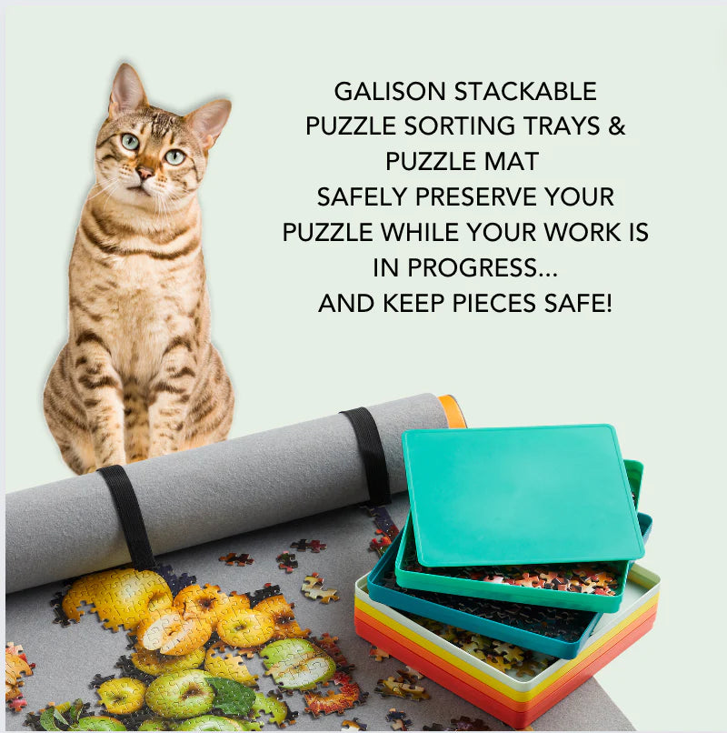 Puzzle Stackable Sorting Trays