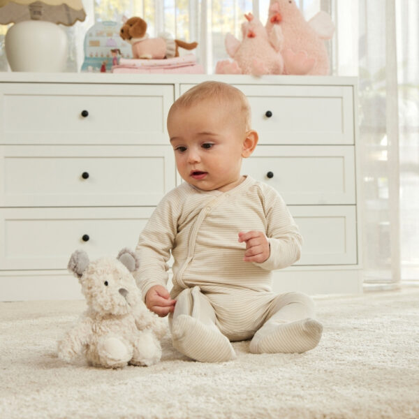 Scruff The Dog Rattle