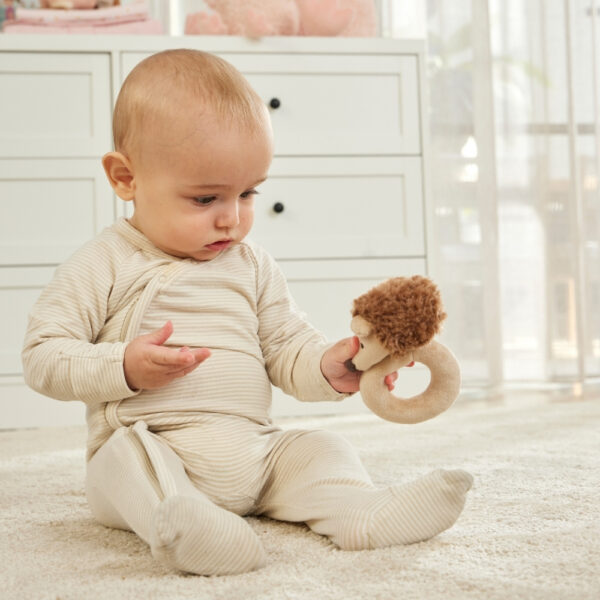 Peanut the Hedgehog Rattle