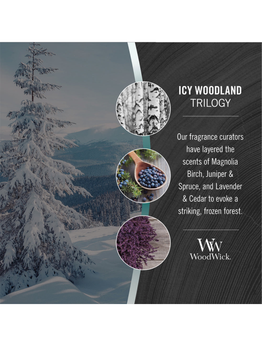 Icy Woodland Trilogy Medium Candle