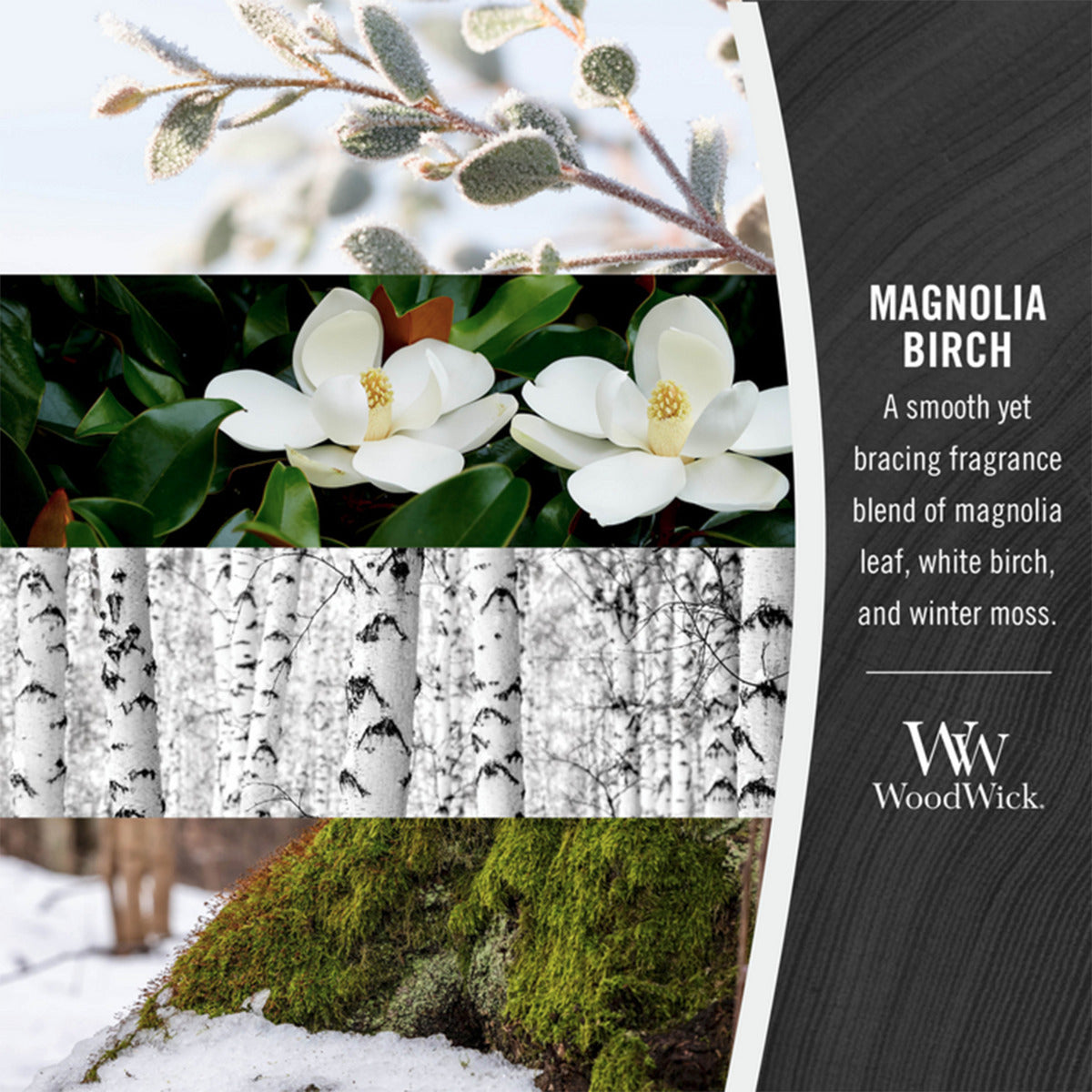 Magnolia Birch Medium Candle