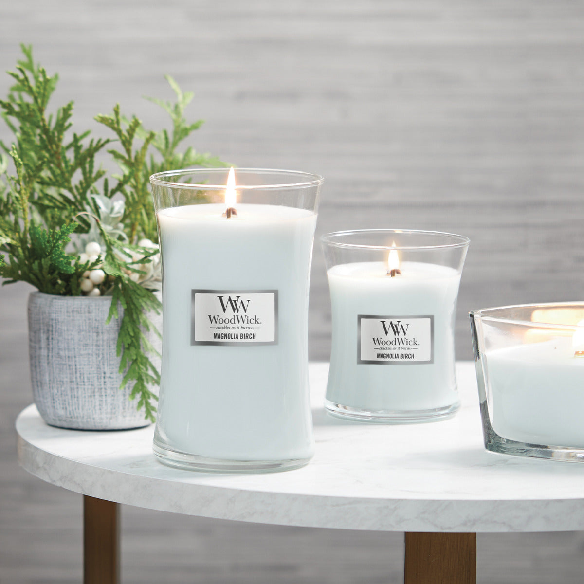 Magnolia Birch Medium Candle