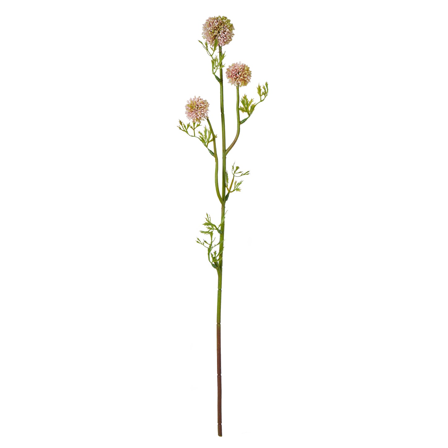 Mini Allium Stem