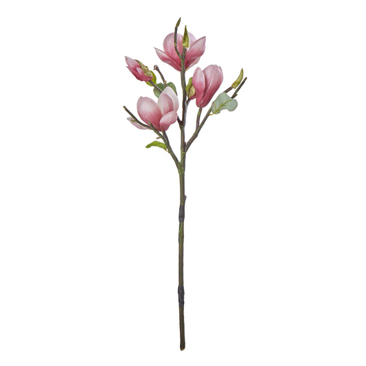 Magnolia Blossom Stem