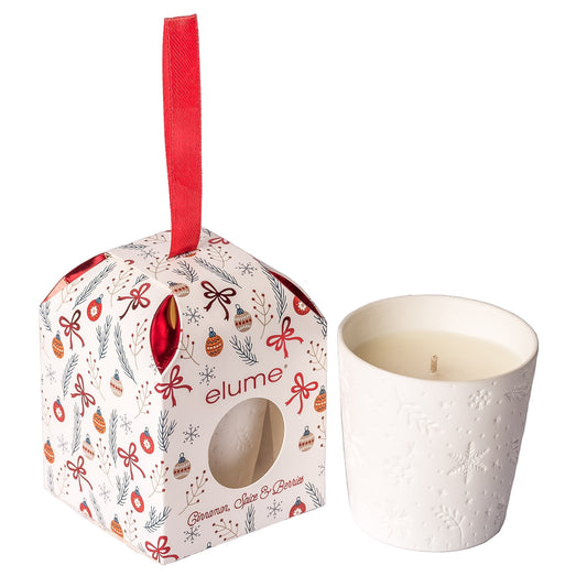 Cinnamon Spice & Berries Candle