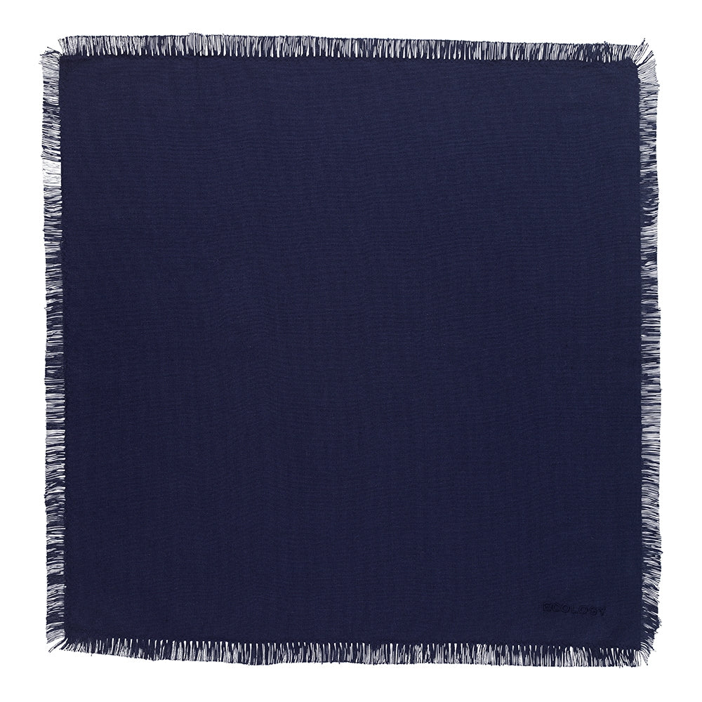 Fray Lapis Napkins - Set 4